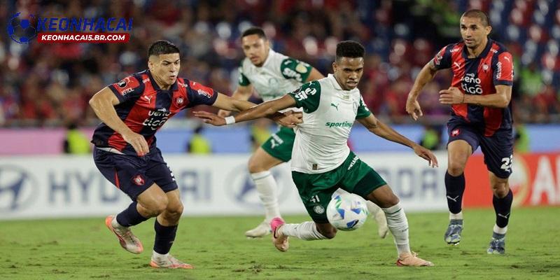 Nhận định Palmeiras vs Cerro Porteno